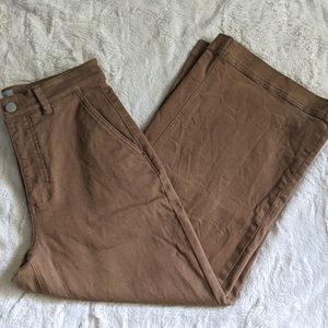 Everlane Wide Leg Crop Pants